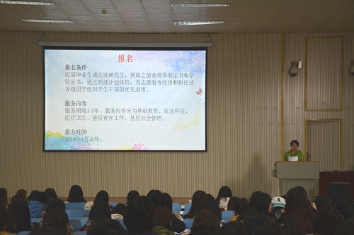 9001cc金沙以诚为本召开2019届毕业生就业指导会